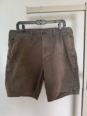 American Eagle Outfitters Men's Dark Gray Flat Front Shorts